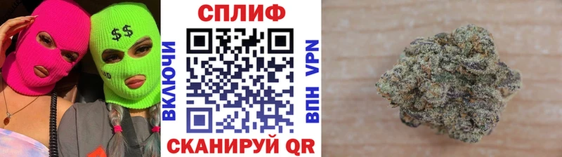Канабис MAZAR  МЕГА онион  Котельнич 